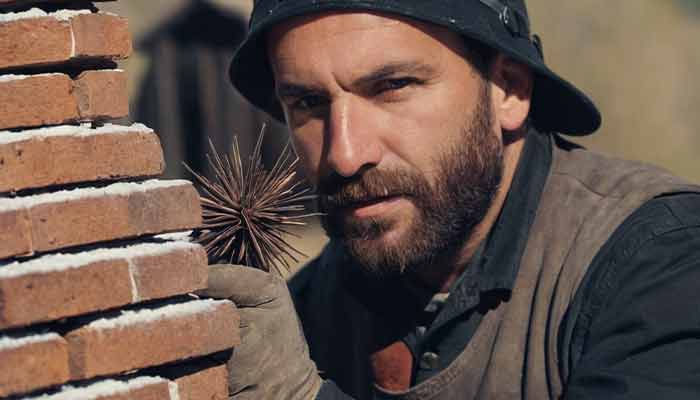 Chimney Services in Brighton, CO